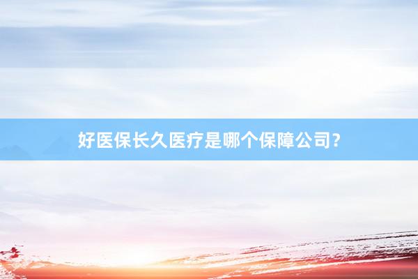 好医保长久医疗是哪个保障公司？